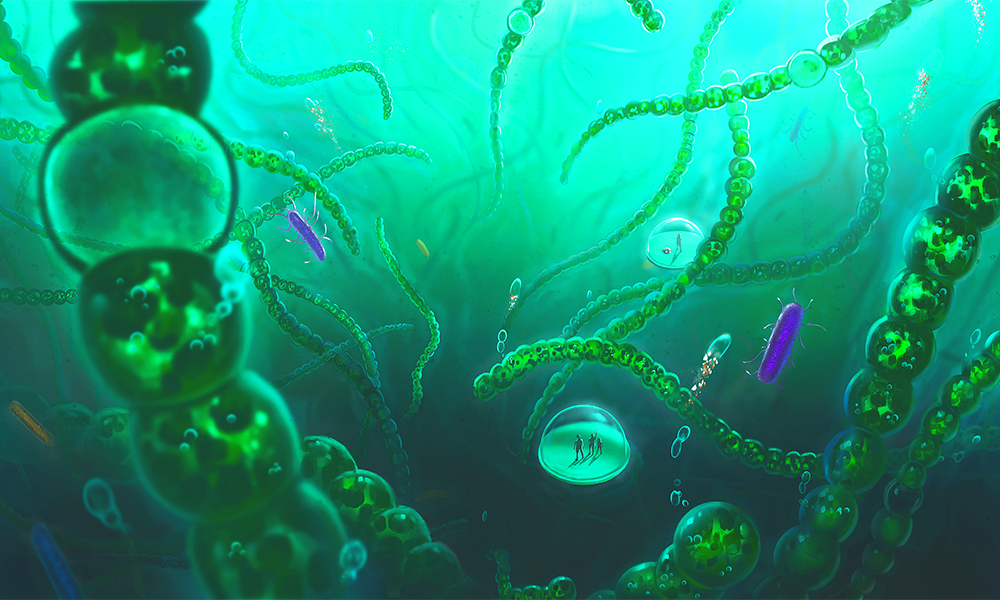 This rendering shows microscopic creatures as they appear in Eclipso Life Chronicles