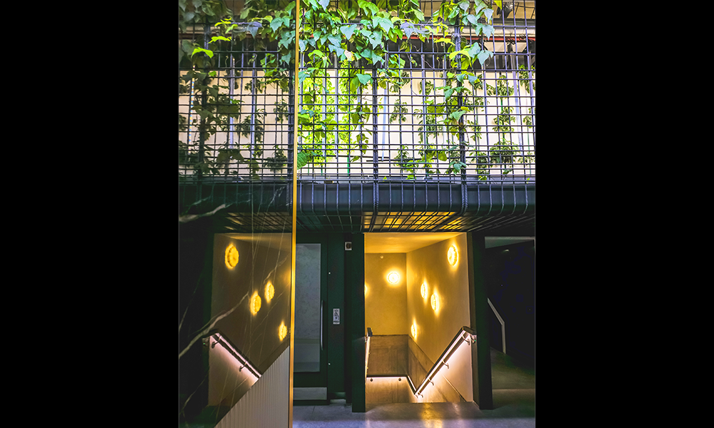 An image of the vertical farm at Roe in Canary Wharf with plants growing up a lit wall surrounded by rebar