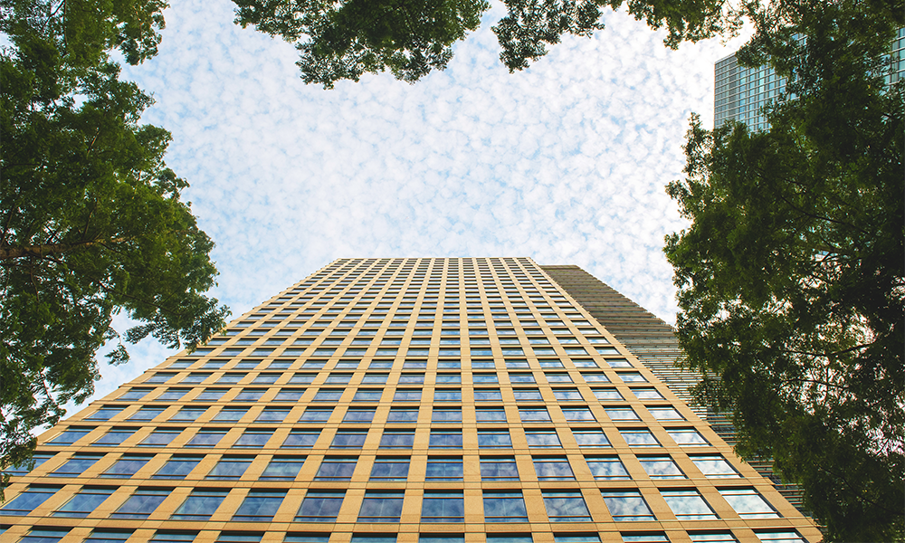 Image shows the exterior of 40 Bank Street with foliage in the foreground