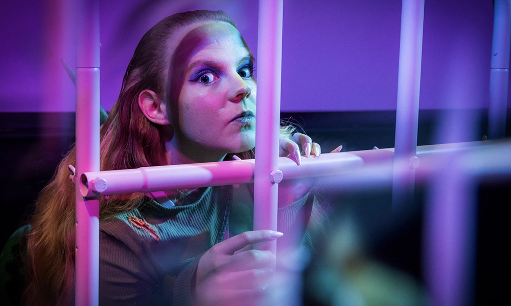 Snoligoster sees a Florida folktale transported to east London - image by The Space