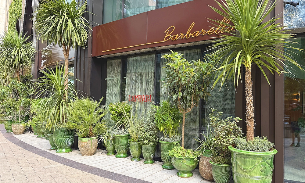 Barbarella is set to open its doors on June 20, 2025, in Canary Wharf - image by Jon Massey