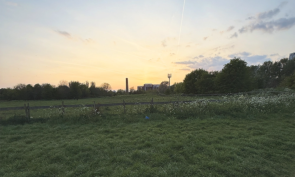 The land the park and farm sit on was originally earmarked for development - image by Jon Massey