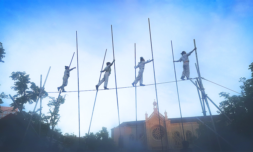 Epiphytes features aerial performers - image by Claude Esselen