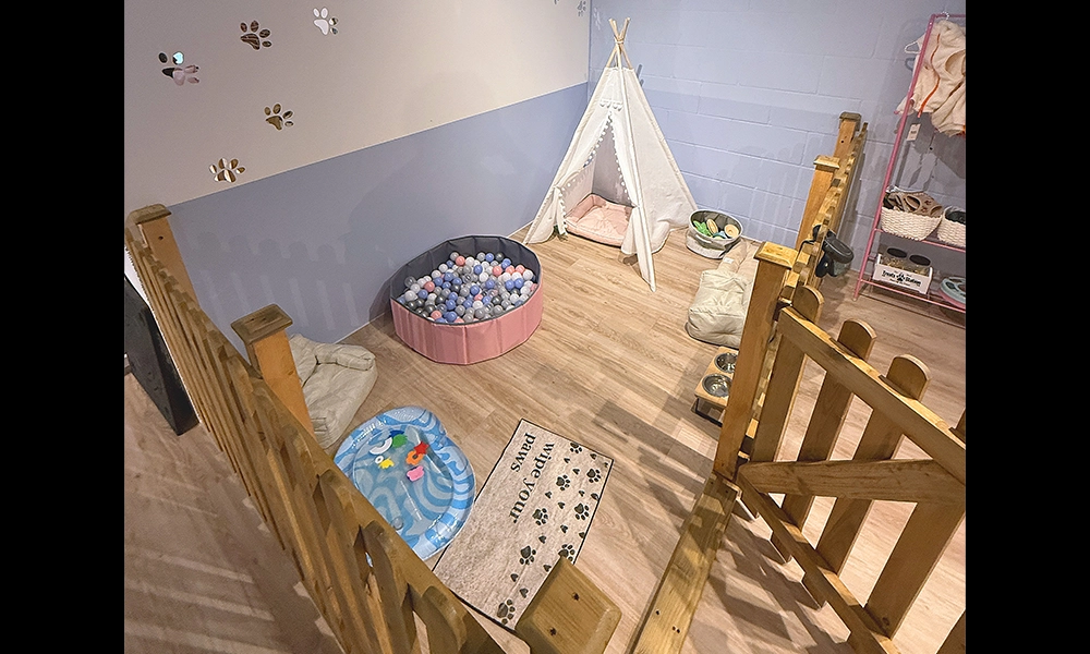 Pawsome includes an area for pups to relax in between treatments - image by Jon Massey / Wharf Life