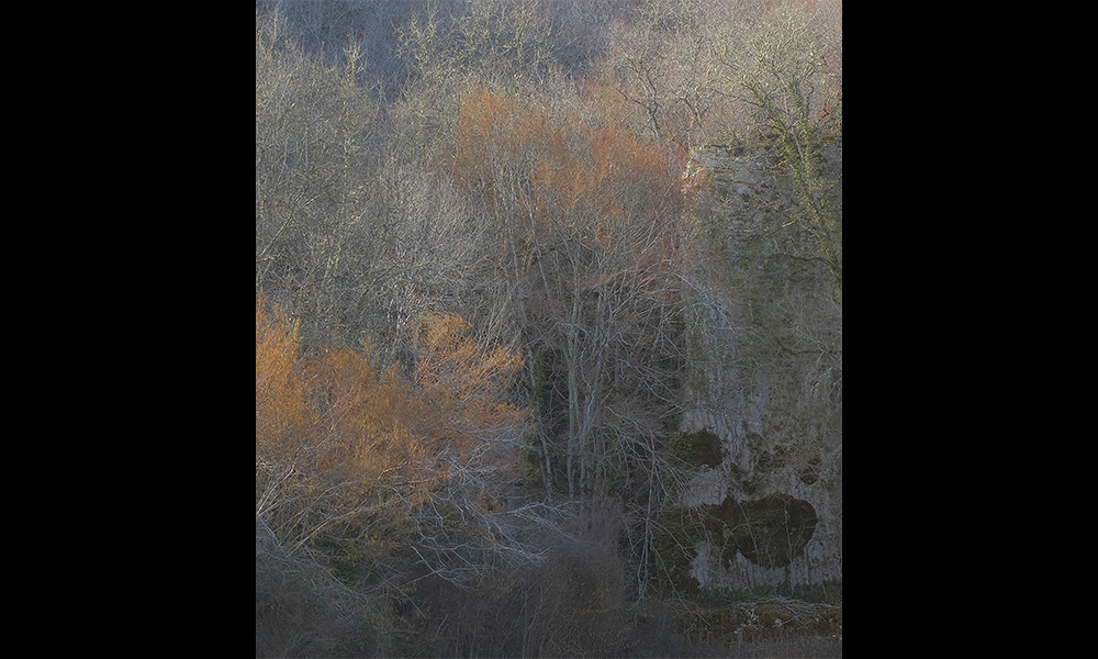 An example of Rhiain's work - image by Rhiain Lefton