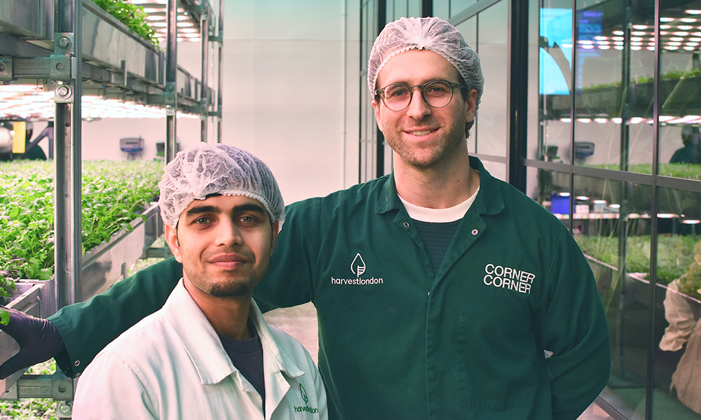 Adam Abadi, right, and Hari Sasidharan of Harvest London at Corner Corner - image by Jon Massey / Wharf Life