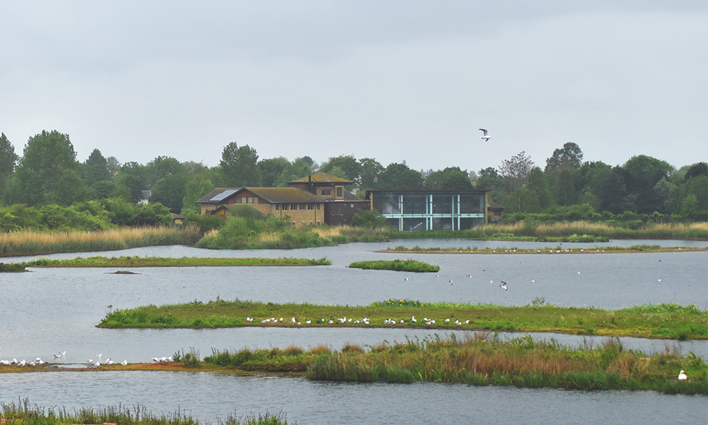 The centre is a sprawling complex arranged around a series of disused reservoirs - image by Jon Massey / Wharf Life