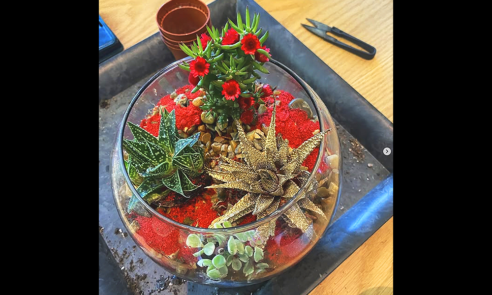 Plant And Person runs terrarium building workshops at Corner Corner in Canada Water - image by Plant And Person