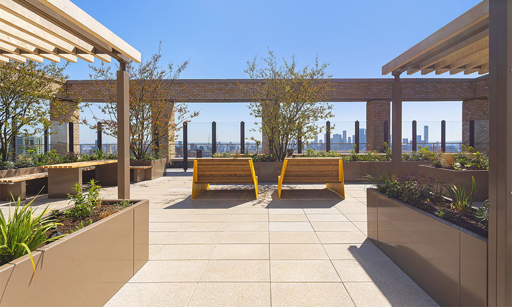 The scheme includes a rooftop terrace with views across the London skyline - image supplied by Muse