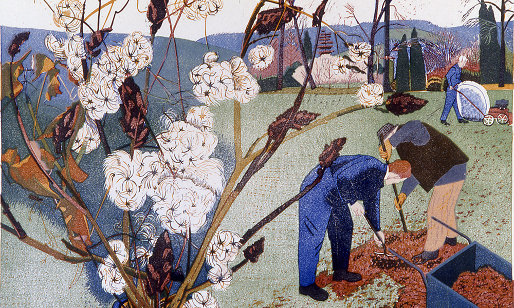 Detail from Newydd-November by Ivy Smith Plas - image by Ivy Smith Plas
